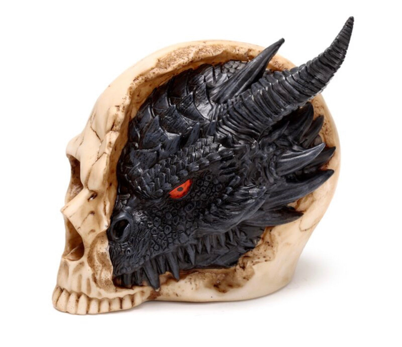 Shadows of Darkness Dragon - Black Dragon in Skull